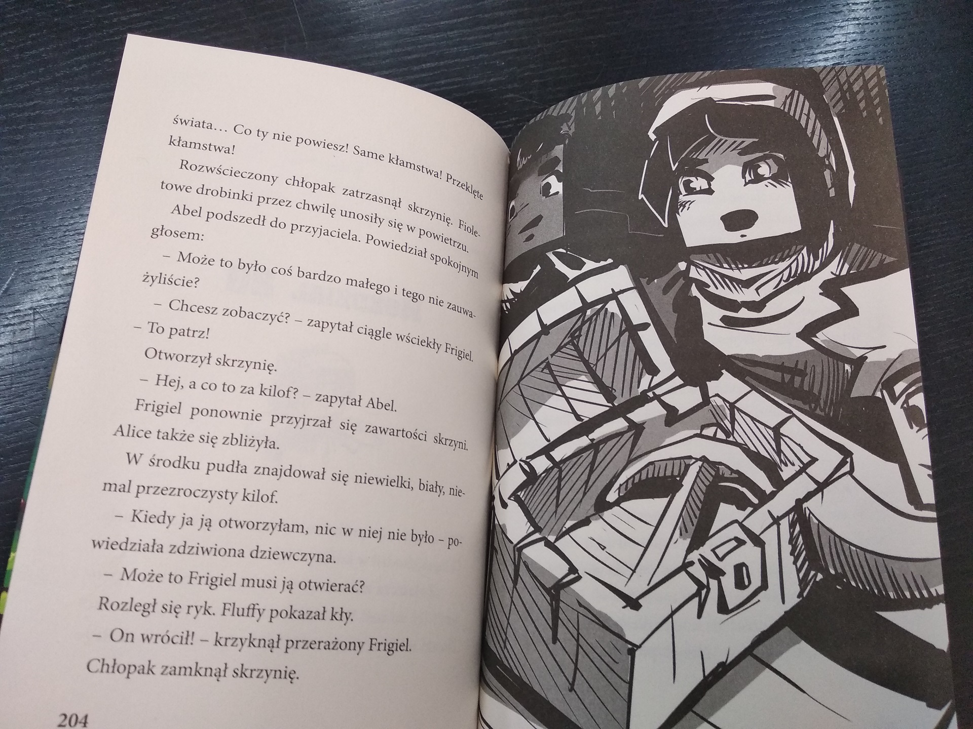 Powrót Smoka Kresu to pierwsza część książek z uniwersum Minecrafta